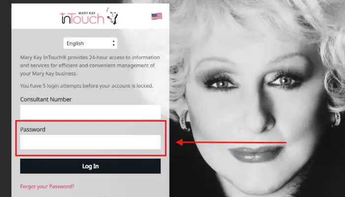 Screenshot of Mary Kay InTouch Login Fields Screenshot of Mary Kay InTouch Login Fields